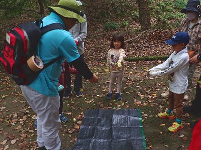 写真:みんなで丸くなって、葉っぱを見せ合う