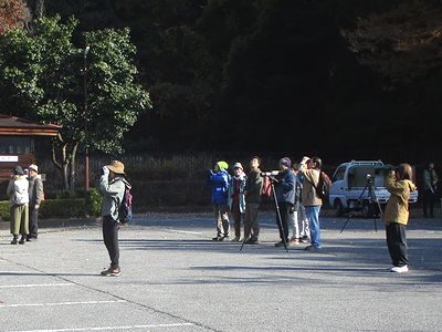 写真：双眼鏡やスコープをのぞく参加者たち