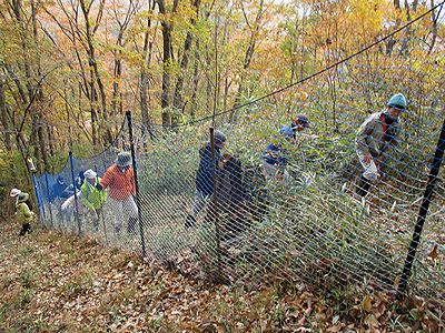 写真：背の高さ以上に成長した草木を見ながら柵の中を歩く参加者たち