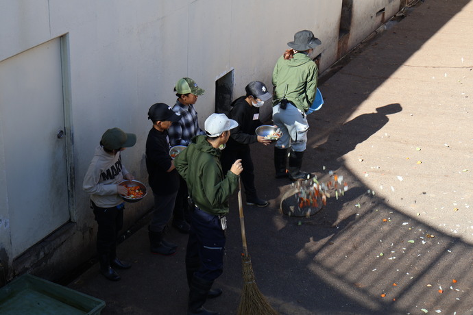 サル山での餌やりの様子
