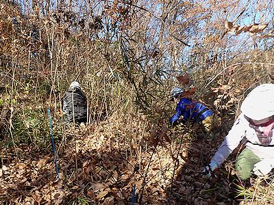 写真：藪に入り込み、しゃがんで作業をする参加者たち