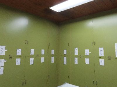 写真：植物標本が入っている棚