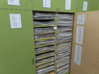 写真：棚の中には、綺麗に標本が整理されている