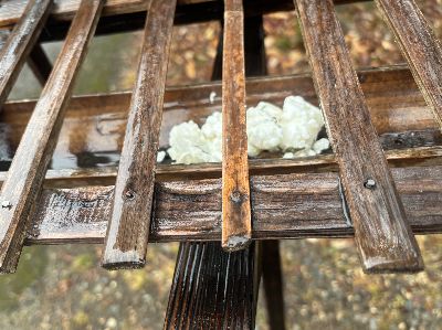 写真：餌台に入っているポテトサラダ