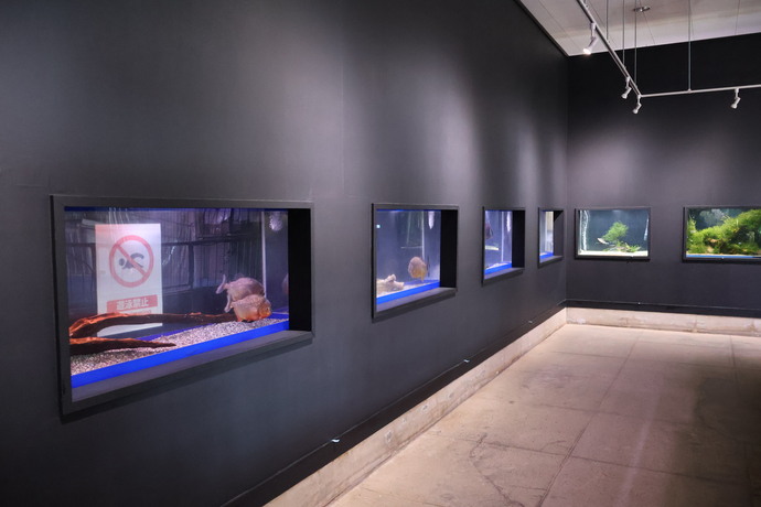 水族館内の画像