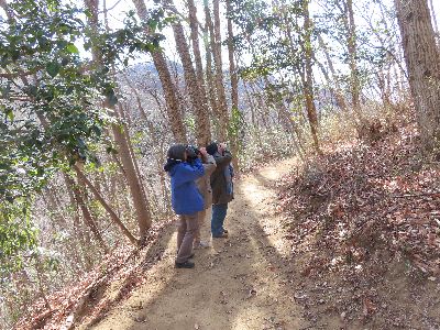 写真：双眼鏡を覗く三人