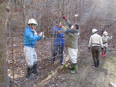写真：協力しあって畳一畳ほどの大きさのワイヤーメッシュをつなげていく