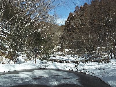 写真：沼は凍り、木道や森の中は雪で真っ白