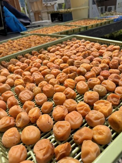 写真：梅干しづくり