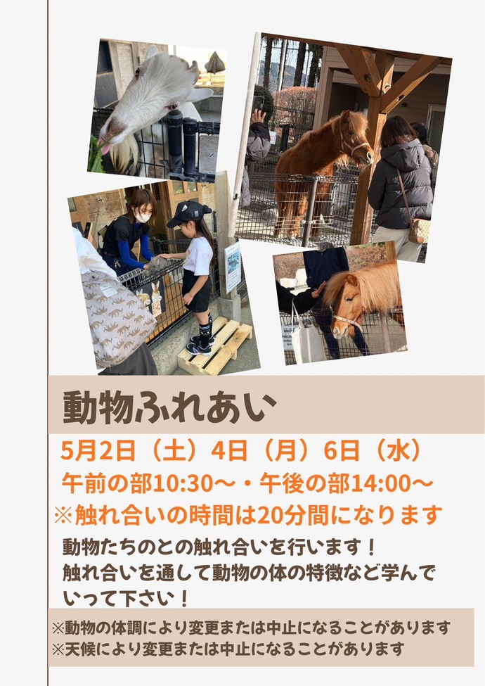 動物ふれあいイベントポスター