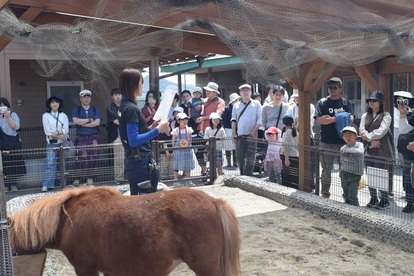 画像：過去のキーパーズトークの写真でミニチュアホースの話を来園者に話している様子