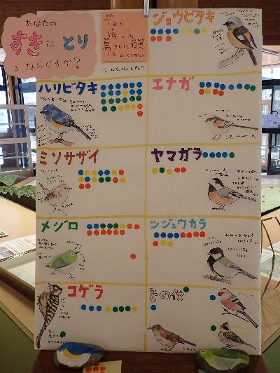 写真：大きい紙に鳥の絵が並び、好きな鳥にシールを貼り投票する