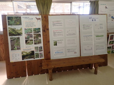 写真：部屋の中には調査結果をまとめたポスターがずらりと貼ってある