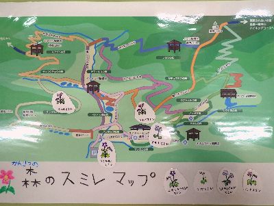 写真：スミレの場所が記された、園内の地図