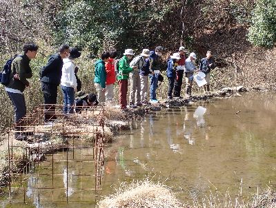 写真：池の縁に並ぶ参加者たち