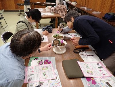 写真：机の中心にカッコソウが置いてあり、参加者がよく見ている