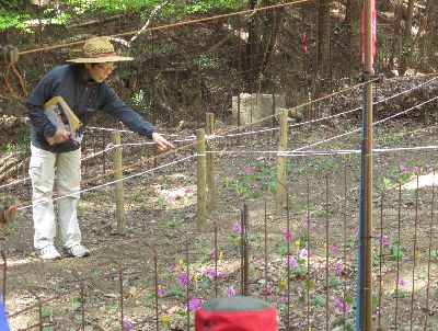 写真：指導員がカッコソウを指差し説明