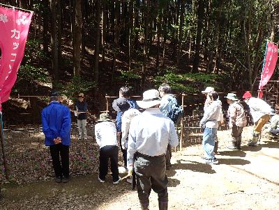 写真：カッコソウ移植地にて観察する参加者