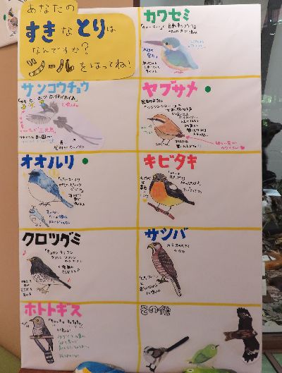 写真:8種類の鳥のイラストが描いてあり、その横にシールが貼れる用紙