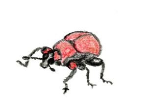 イラスト：赤茶色の虫