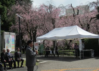 写真：一般社団法人群馬大学工業会「群馬大学理工学部”しだれ桜を観る会”」の様子