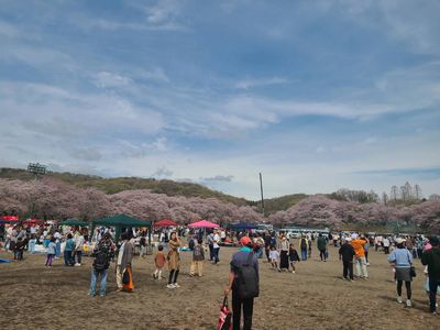写真：「新里こどもフェスタ 桜まつり」の様子