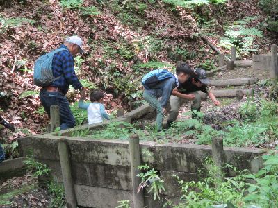 写真：池を覗く、レンジャーと参加者