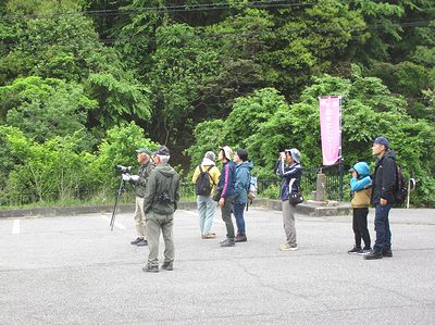写真:駐車場で鳥を見る参加者たち