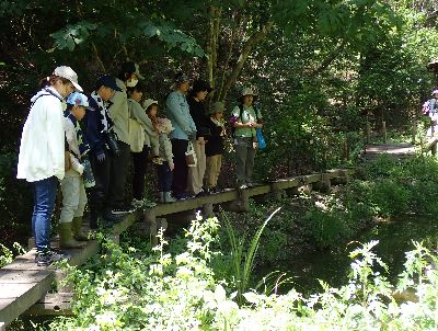 写真:池を観察