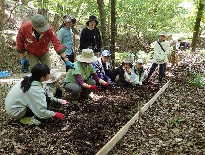 写真:みんなで腐葉土を掘る