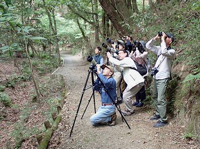 写真：あまり広くない園路にみんなが固まり、上空にむけて懸命に双眼鏡を覗いている