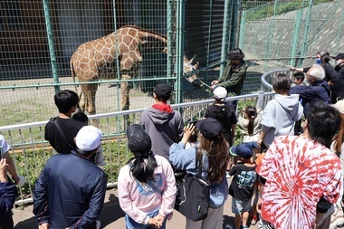 写真：キリンのキーパーズトークの様子