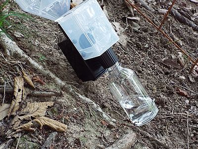 写真:トラップ先端の容器に虫が入るとエタノールで捕まえられる仕組み