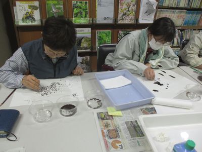 写真:白い紙の上で虫を分けたり数える職員