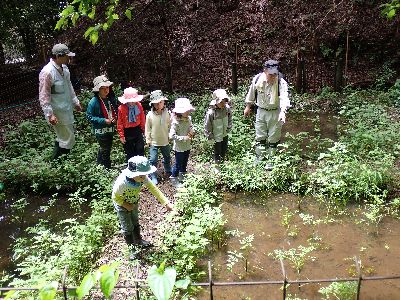 写真:池を囲んで覗く、指導員と参加者