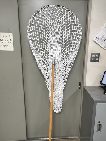大きい網の写真