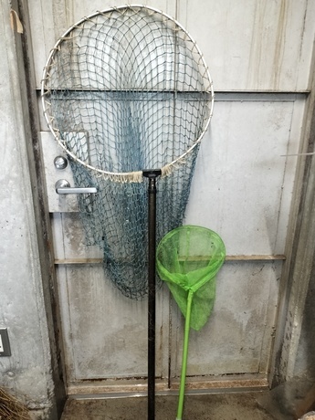 リスザル舎に置いてある大小のサイズの網の写真