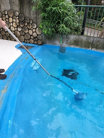 ペンギン舎でのプールに落ちたアジを長い網で拾う写真