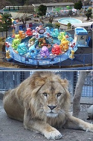 桐生が岡遊園地の遊具と桐生が岡動物園のライオン