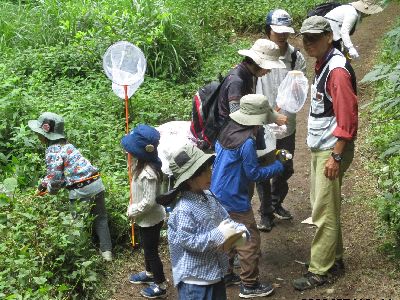 写真：虫取り網や捕虫器で採集する親子