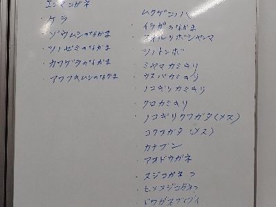 写真：ホワイトボードに書かれた虫の名前