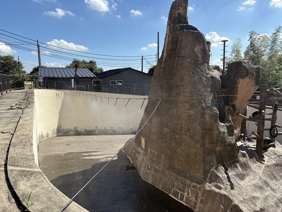 ミストを設置しているサル山の画像