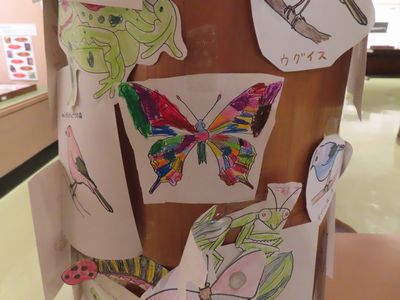 写真：チョウやカマキリなどの塗り絵