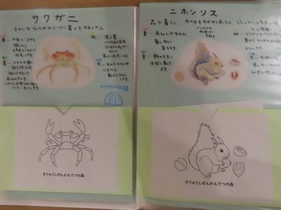写真：サワガニとアズマヒキガエルの塗り絵