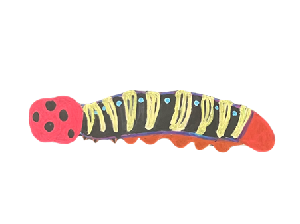 イラスト：アオバセセリの幼虫
