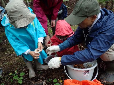 写真：子どもと指導員でキノコ採集