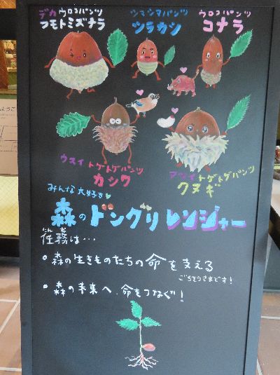 写真:黒板に描かれたドングリのイラスト