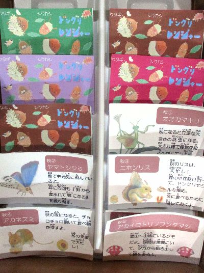 写真:秋の生きものカードと、ドングリのカード