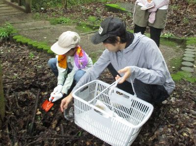 写真：親子でキノコ採り