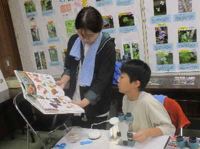 写真：親子で図鑑を見る